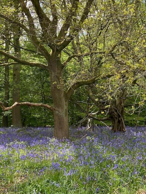 South Cottage - Garden, Views, Parking, Dogs, Cheshire, Walks, Family Adlington Exteriér fotografie
