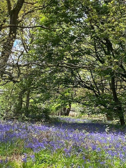 South Cottage - Garden, Views, Parking, Dogs, Cheshire, Walks, Family Adlington Exteriér fotografie